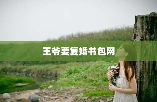 王爷要复婚书包网