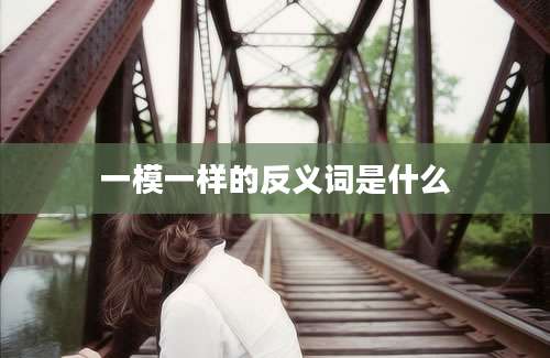 一模一样的反义词是什么