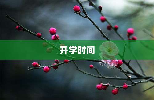 开学时间