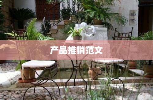 产品推销范文