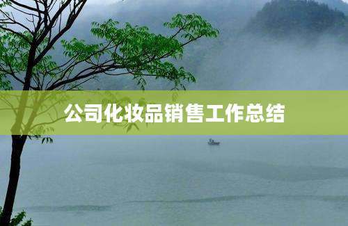 公司化妆品销售工作总结