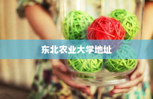 东北农业大学地址
