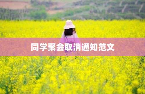 同学聚会取消通知范文