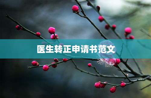 医生转正申请书范文