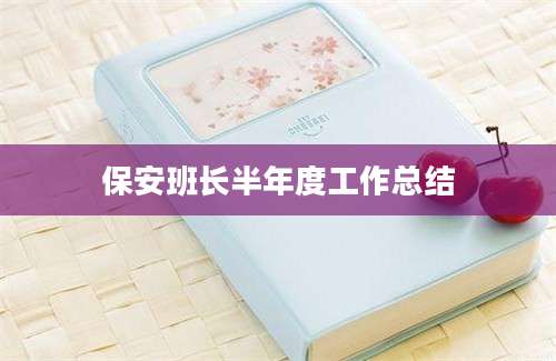 保安班长半年度工作总结