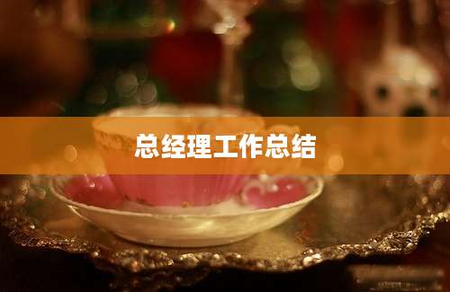总经理工作总结
