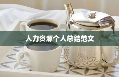 人力资源个人总结范文