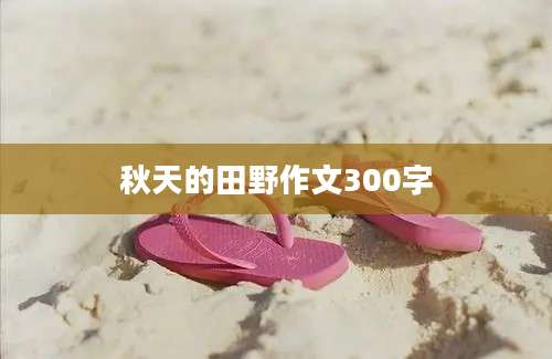 秋天的田野作文300字
