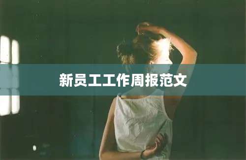 新员工工作周报范文