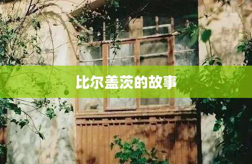 比尔盖茨的故事