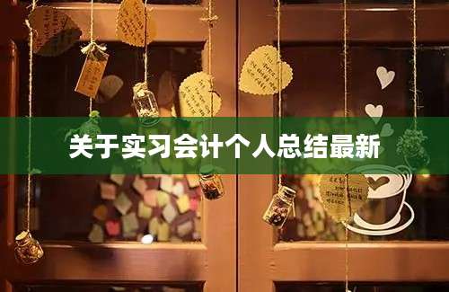关于实习会计个人总结最新