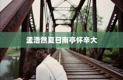 孟浩然夏日南亭怀辛大