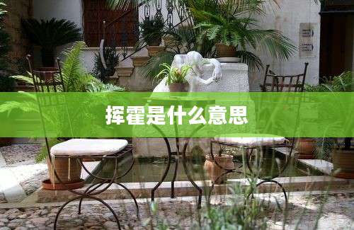 挥霍是什么意思