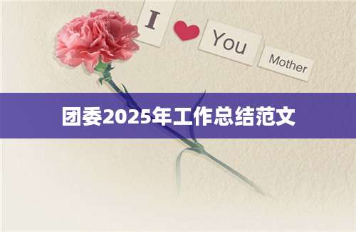 团委2025年工作总结范文