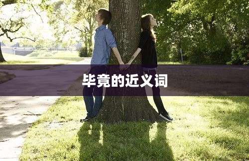 毕竟的近义词