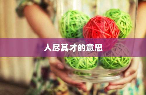 人尽其才的意思