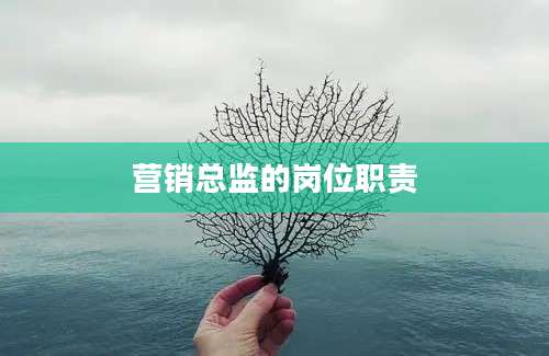 营销总监的岗位职责