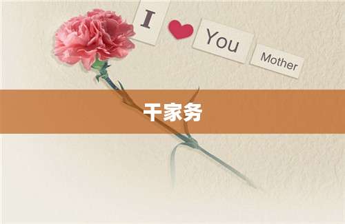 干家务