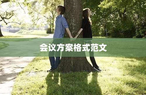 会议方案格式范文
