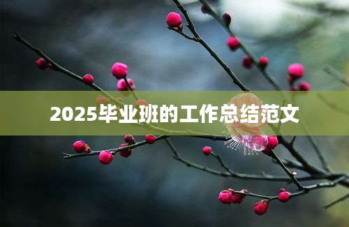 2025毕业班的工作总结范文