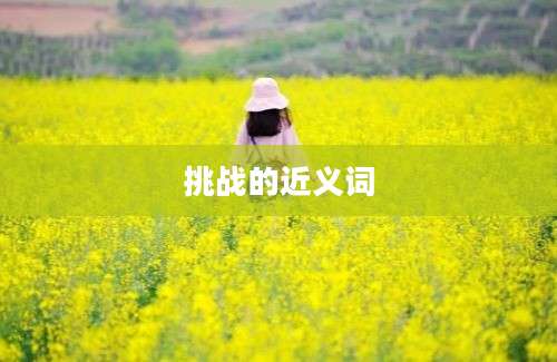 挑战的近义词