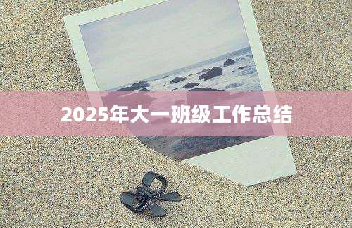 2025年大一班级工作总结