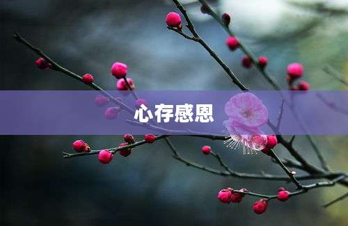 心存感恩