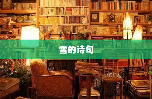 雪的诗句