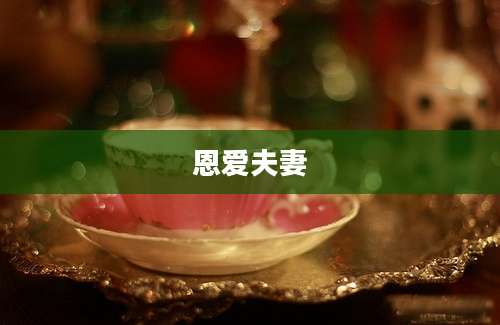 恩爱夫妻