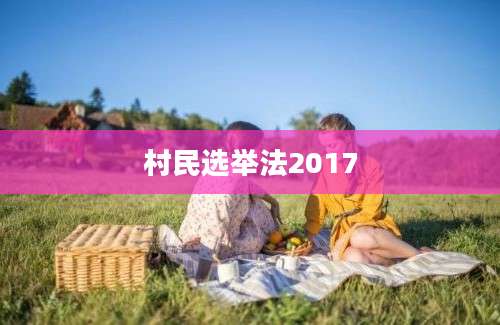 村民选举法2017