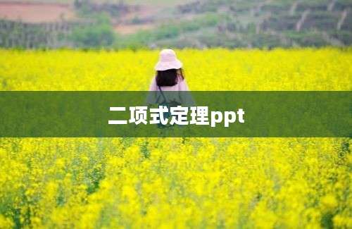 二项式定理ppt