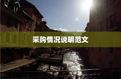 采购情况说明范文