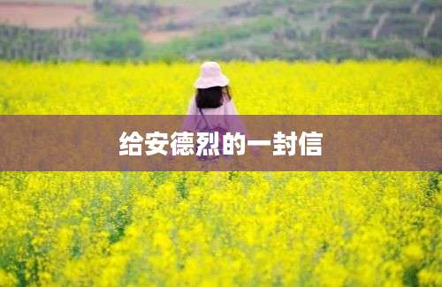 给安德烈的一封信