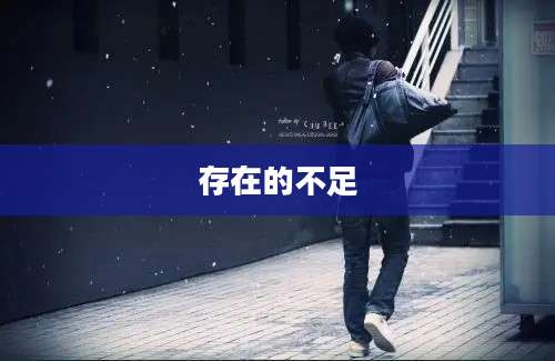 存在的不足
