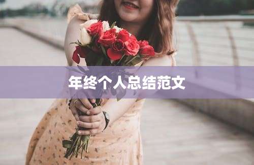 年终个人总结范文