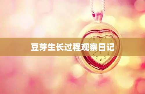 豆芽生长过程观察日记
