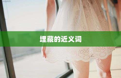 埋藏的近义词