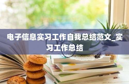 电子信息实习工作自我总结范文_实习工作总结