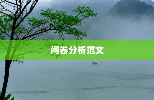 问卷分析范文