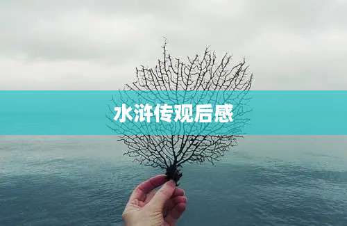 水浒传观后感