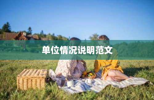 单位情况说明范文