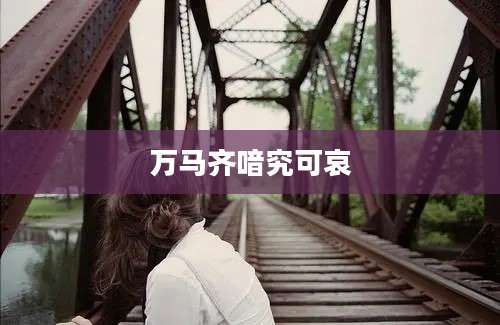 万马齐喑究可哀