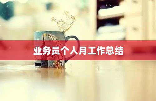 业务员个人月工作总结