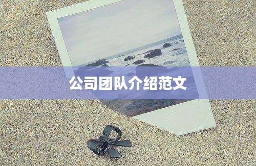 公司团队介绍范文