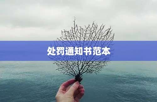 处罚通知书范本