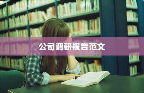 公司调研报告范文