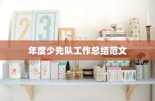 年度少先队工作总结范文