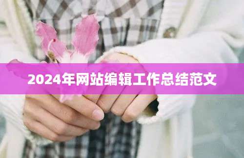 2024年网站编辑工作总结范文