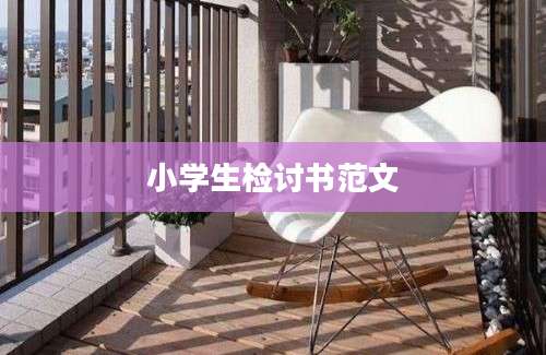 小学生检讨书范文