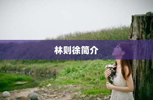 林则徐简介